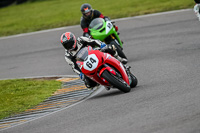 PJ-Motorsport-2019;anglesey-no-limits-trackday;anglesey-photographs;anglesey-trackday-photographs;enduro-digital-images;event-digital-images;eventdigitalimages;no-limits-trackdays;peter-wileman-photography;racing-digital-images;trac-mon;trackday-digital-images;trackday-photos;ty-croes